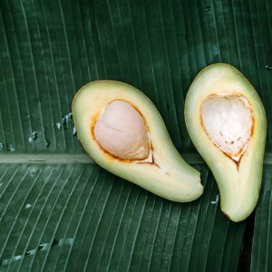 360-Degree Virtual Tour Photography